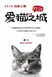 《爱猫之城》萌猫角色海报 异域风情猫萌力来袭