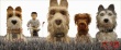 《犬之岛》发配音大咖独白 他们懂狗狗的世界吗？
