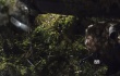 《寂静之地》曝新预告 艾米莉·布朗特险中求生