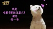 《營(yíng)救汪星人》曝博美預(yù)告 雙眼皮美瞳眼萌翻人
