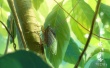 国漫“三大”后强势续力 尤长靖献唱《昨日青空》