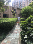 賣慘？紀(jì)凌塵分手后首現(xiàn)身 牽愛犬出街面容憔悴