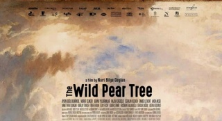 土耳其《野梨树》参与奥斯卡 锡兰作品再获垂青_欧洲_电影网_1905.com