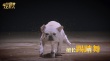 《营救汪星人》“个狗介绍”上线 踢踏舞实力抢镜