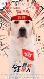 《營救汪星人》發(fā)布主題海報(bào) 狗狗“裸體出鏡”