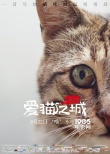 《愛貓之城》9.22公映 牛奶咖啡“解讀”《貓語》