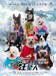 《營救汪星人》曝“八仙過?！焙?神犬各顯神通