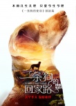 《一條狗的回家路》曝預(yù)告 貝拉橫跨四季為愛歸來