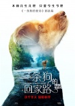 《一條狗的回家路》曝預(yù)告 貝拉橫跨四季為愛歸來