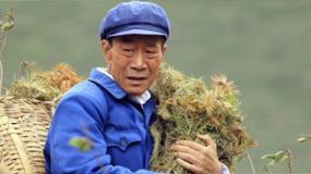楊善洲