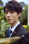 王俊凱受邀出席聯(lián)合國(guó)會(huì)議 全英文演講為環(huán)保發(fā)聲