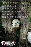 《狗眼看人心》曝樹洞畫 揭秘養(yǎng)狗人士的7個秘密