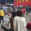 《向往的生活》曝路透 何炅黄磊陈伟霆现身菜市场
