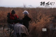秦海璐导演处女作入围金爵奖 “思乡”海报曝光