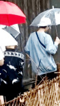 鹿晗录制《向往》保温杯不离手 与陈赫雨中同行