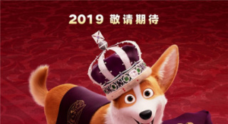 皇家驾到！《女王的柯基》曝海报最萌皇家犬来袭_欧洲_电影网_1905.com