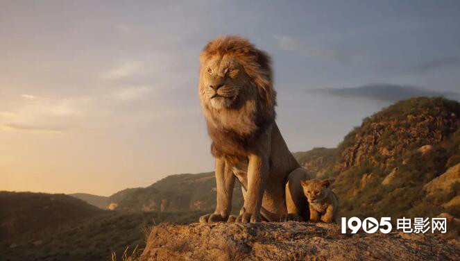 首周末票房过3.7亿，时隔25年《狮子王》成回忆杀