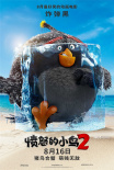 笑死鸟！《愤怒的小鸟2》全员海报猪鸟变“冰雕”
