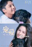 徐峥监制电影《宠爱》首曝演员阵容 定档12月31日