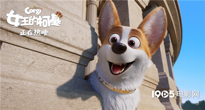 “小短腿”逆袭！《女王的柯基》新片段暗藏彩蛋
