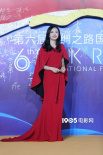 《送我上青云》剧组主创亮相 姚晨曳地长裙抢眼