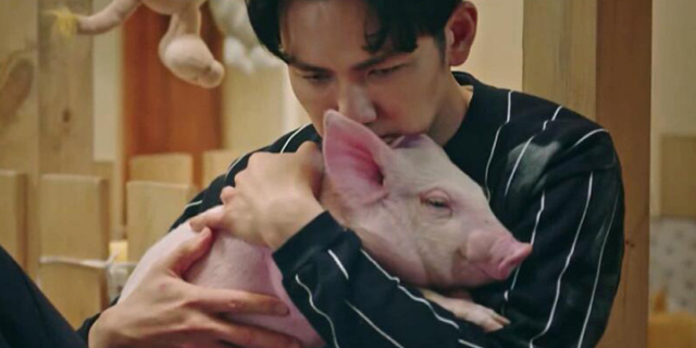 鹦鹉话外音：你可能身边没有宠物，但心里还是得有爱