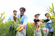 連續(xù)三年提出扶貧提案！成龍成黃花最賣力代言人