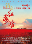 情定红海滩