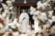 《晴雅集》新劇照質(zhì)感超標(biāo) 趙又廷鄧倫宛如畫中人