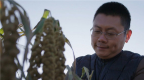 俞贺楠助贫困县脱贫 看《千顷澄碧的时代》落泪