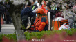 网友偶遇贾玲武汉大学拍戏 饰演志愿者造型接地气