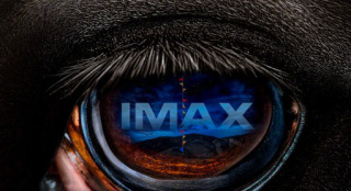 《不》曝IMAX版海报 巨大瞳孔图像令人不寒而栗