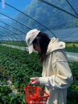 草莓少女！迪麗熱巴分享采摘美照 開心炫耀超可愛