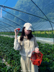 草莓少女！迪麗熱巴分享采摘美照 開心炫耀超可愛
