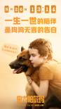 忠犬帕尔玛
