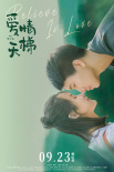 愛情天梯