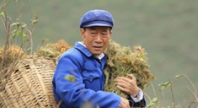 北京展映丨影迷狂歡之夏，第十二屆北京國(guó)際電影節(jié)展映概況