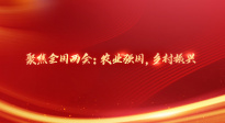聚焦全国两会：农业强国，乡村振兴