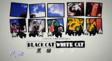 《黑猫白猫》推介：受到观众认可，票房成绩喜人