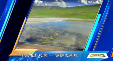 中亚电影之旅——哈萨克斯坦