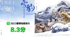 8.3分！2023暑期档口碑最佳影片是怎样炼成的？