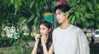 imdb电影排行_《巨齿鲨》狂破9亿,李冰冰跻身TOP10,成为IMDb排名最高中国人!(2)