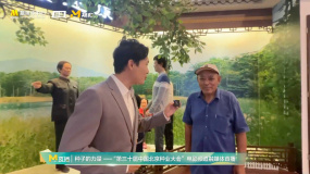 在仇庄村感受孝道文化