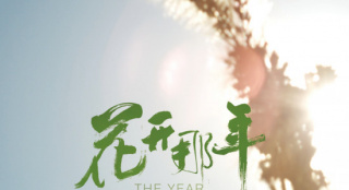 言情剧排行榜_电视剧全网热度榜,《南风知我意》跌至第二,第一热度高达83.96(2)