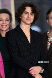 电影《旺卡》伦敦首映！甜茶、憨豆等主创亮相