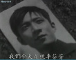 桃李劫