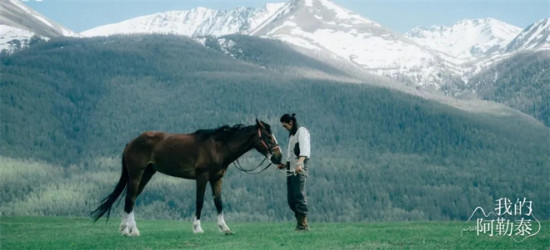 评分连涨、网台双爆,去一次阿勒泰的理由找到了