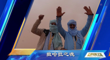 撒哈拉之魂