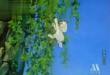 貓咪小貝