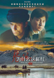 花兒為什么這樣紅
